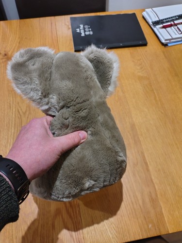Koala bear soft toy - koala,