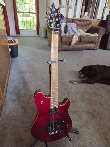 2024 evh wolfgang standard - wolfgang, qm