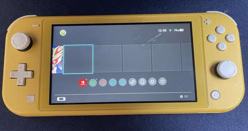 Nintendo switch lite console - nintendo,