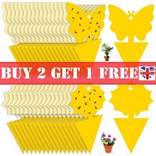 Pack fruit fly traps yellow - fruit,