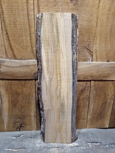 Live edge oak slab - edge,