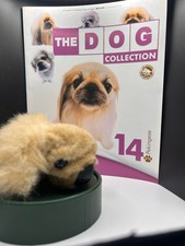 The Dog Collection 14