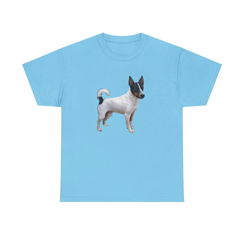 Japanese terrier cute dog - terrier,