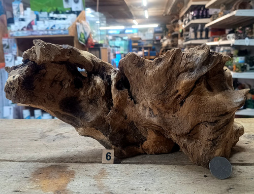 Derwen oak bogwood - oak,