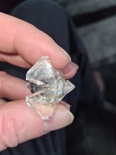 Swarovski Crystal Duck Mini