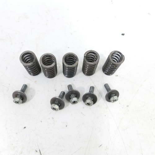 Kawasaki 250 clutch - clutch, springs