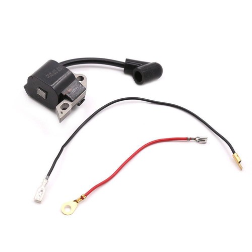 Ignition coil for - ignition,