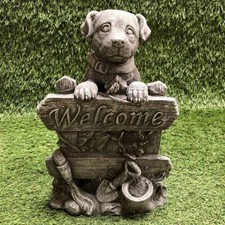 Concrete labrador puppy - labrador,