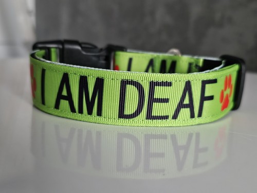 Handmade adjustable dog collar - adjustable,