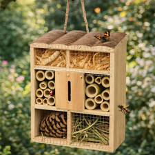 Large Wooden Beetle Butterfly