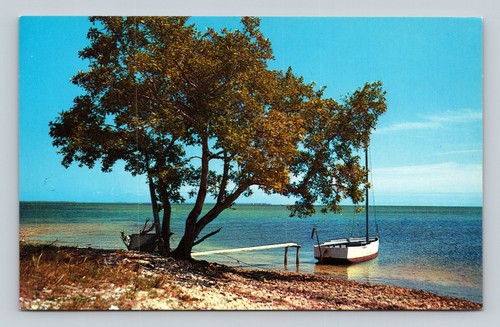 Vintage plastichrome postcard - plastichrome,