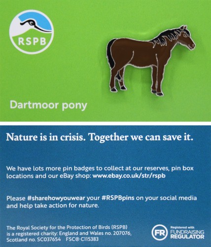Rspb pin badge niic - pin, dartmoor