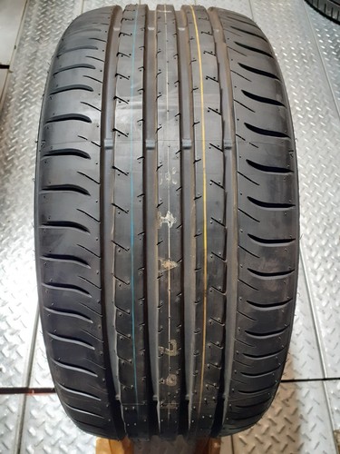 255 rf19 dunlop sport - 255/40,