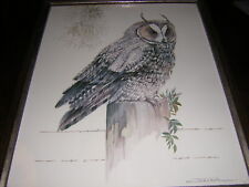 Beautiful Vintage Owl Print: