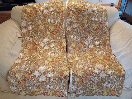 Sanderson golden lily - "golden, lily"