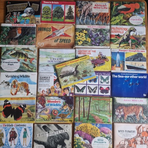 Different brooke bond pg - brooke,