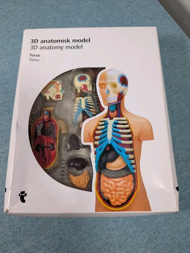 Flying tiger anatomy set - flying,