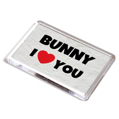 Fridge magnet bunny i - bunny, love