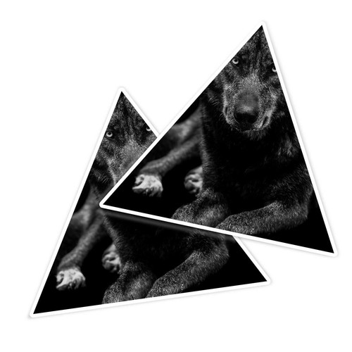 Triangle shape vinyl - triangle,