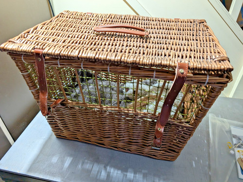 Vintage wicker pet - vintage,