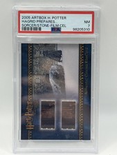 Harry Potter and the