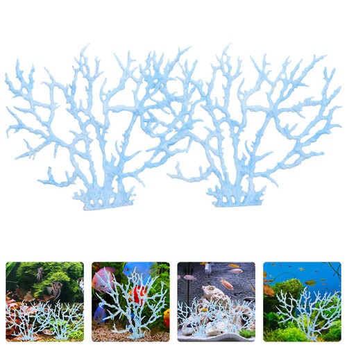 Tropical fish tank - tropical, accessories