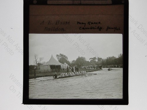 May races cambridge - races, university