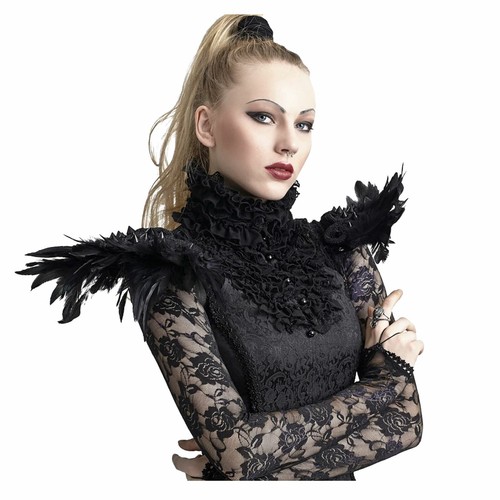Adult womens gothic raven - adult,
