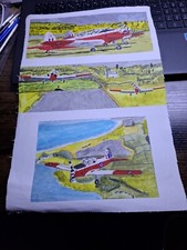 chipmunk aircraft Water Colour