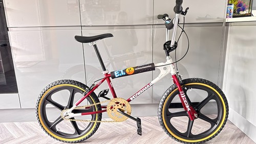 Kuwahara et reproduction - kuwahara,
