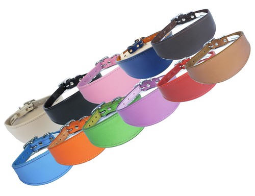 Basic whippet collar - collar, leather