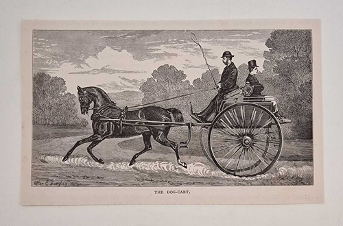 Sidney the dog cart - dog-cart, (1878