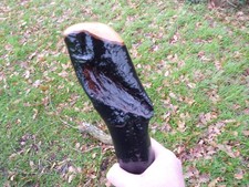 HUGE IRISH BLACKTHORN