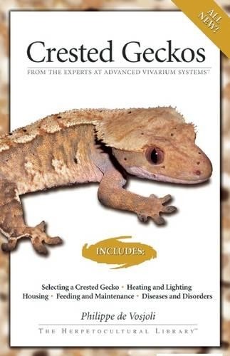 Crested geckos advanced - crested,