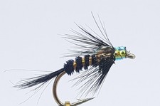Black Flashback Cruncher Sz12