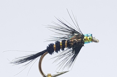 Black flashback cruncher - black,