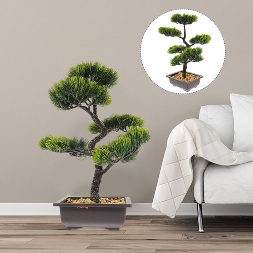 Plastic bonsai tree indoor - bonsai,