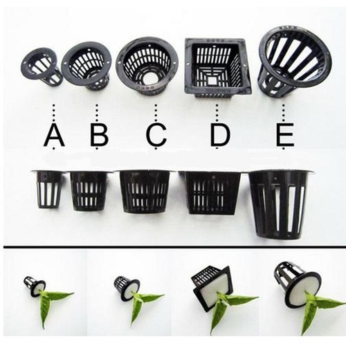 10pcs small pond planting - 10pcs,