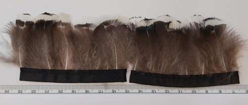 Strip long lady - ", amherst