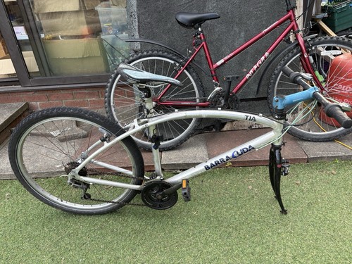 Vintage barracuda mountain - vintage,