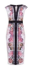 Ted Baker Painted Posie Fitted