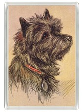 CAIRN TERRIER DOG FRIDGE