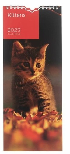 Kittens mini slim calendar - kittens,