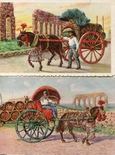 Roma,Carroda Vino ( Costumi
