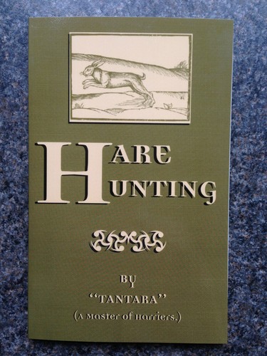 Hares hunting beagles beagling - hares,