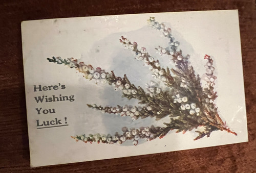 Antique flowers postcard - , lucky