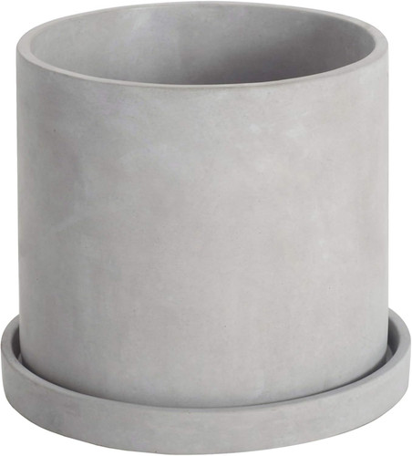 Cement plant pot - plant,