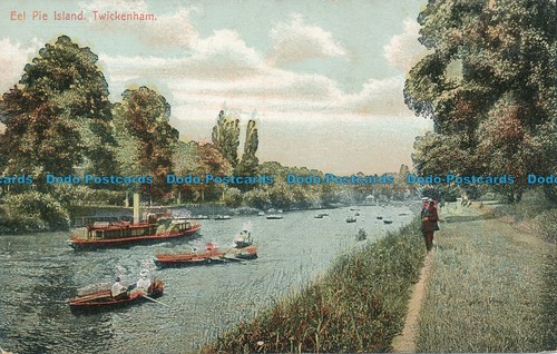 R112502 eel pie - r112502,
