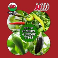 Easy Grow Mix Chilli Pepper