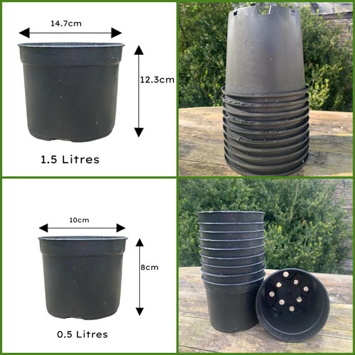 0 5 litre - x, plant